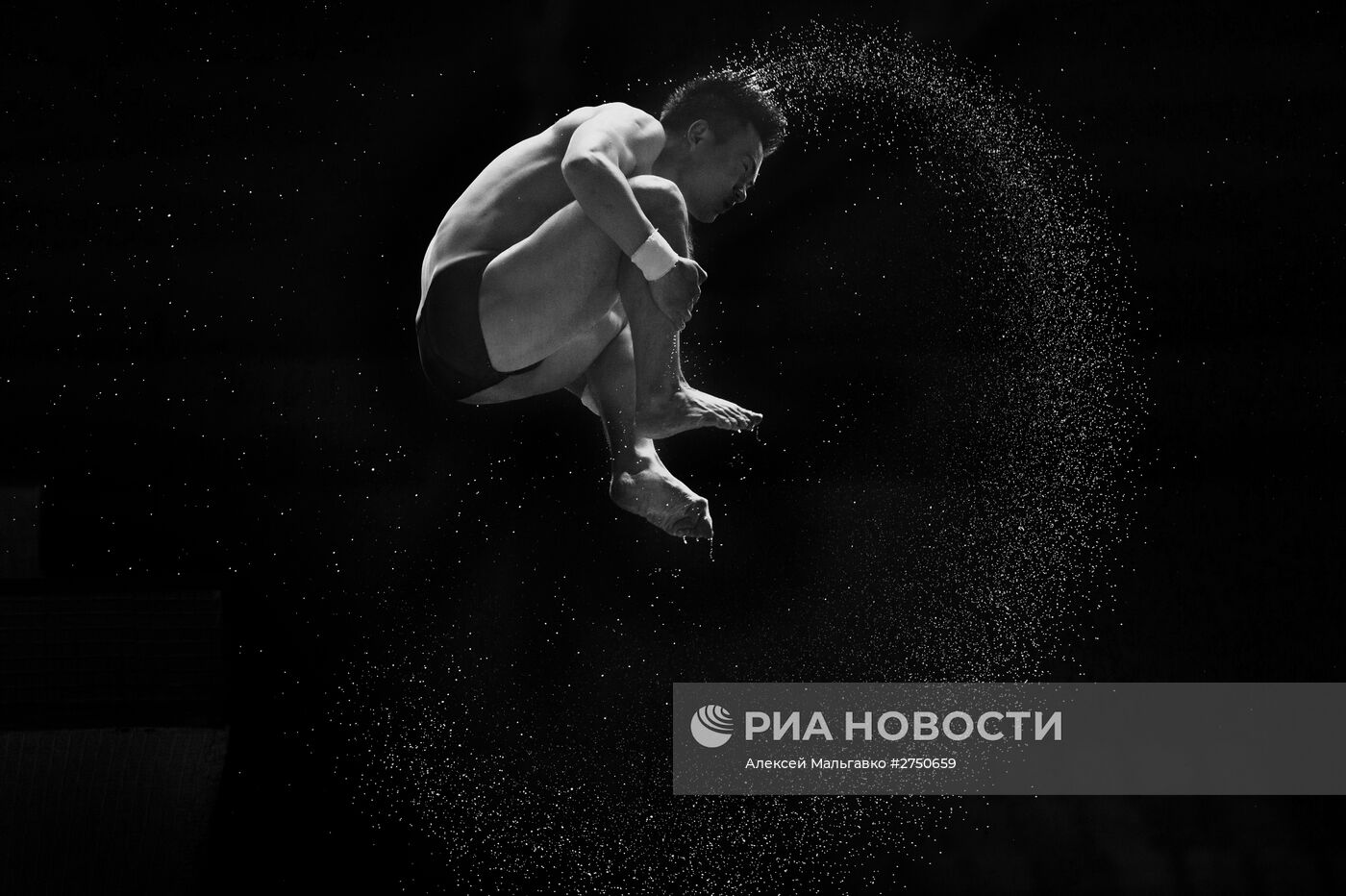 Чемпионат мира FINA 2015. Прыжки в воду. Мужчины. Вышка 10 м. Финал