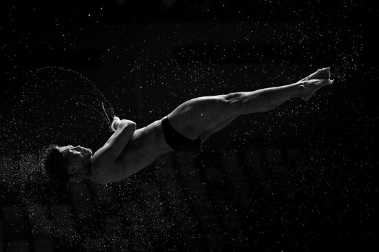 Чемпионат мира FINA 2015. Прыжки в воду. Мужчины. Вышка 10 м. Финал