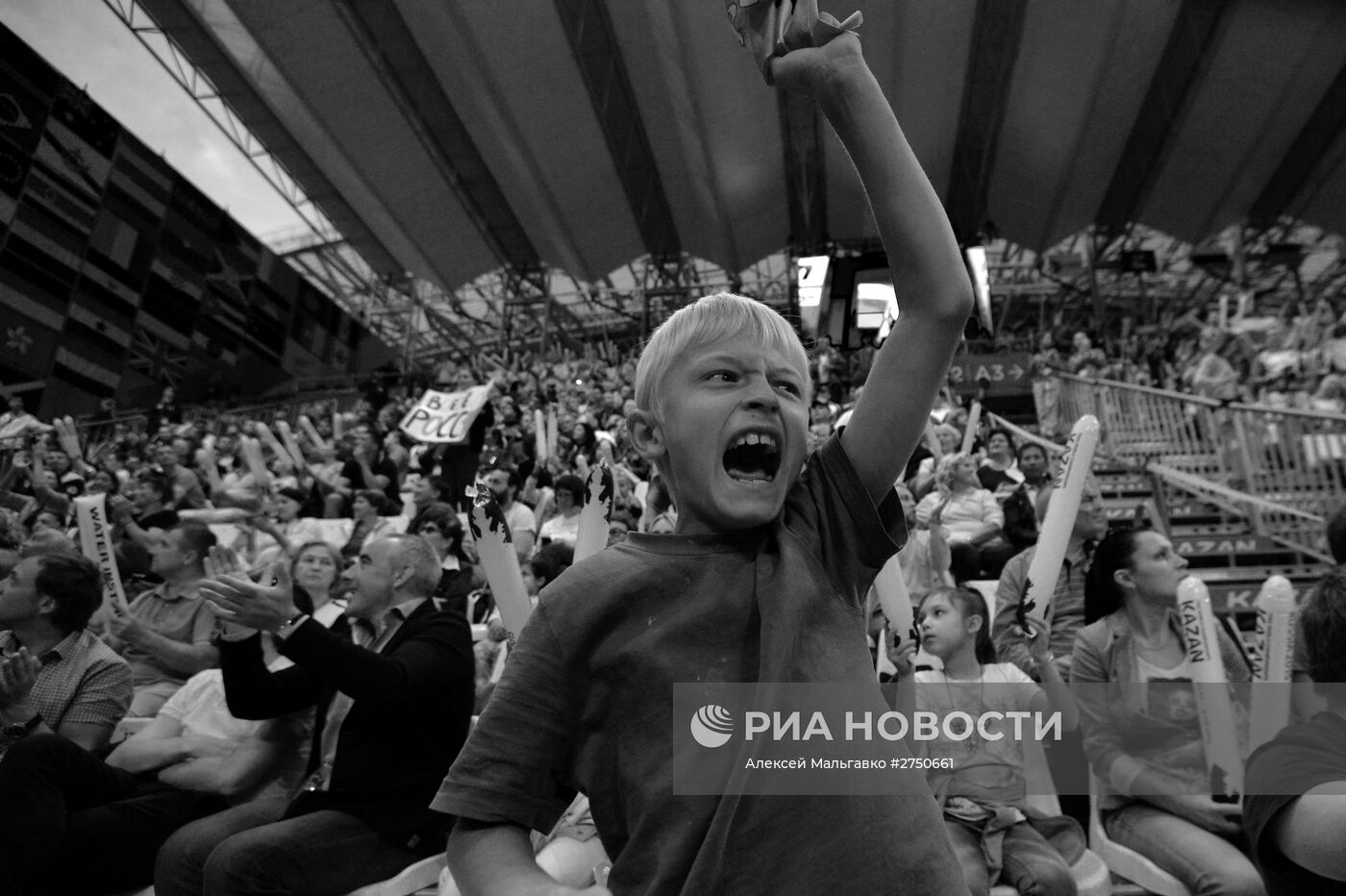 Чемпионат мира FINA 2015