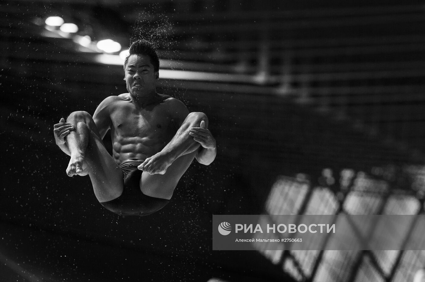 Чемпионат мира FINA 2015. Прыжки в воду. Мужчины. Трамплин 1м. Финал