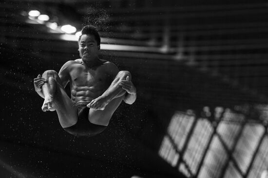 Чемпионат мира FINA 2015. Прыжки в воду. Мужчины. Трамплин 1м. Финал