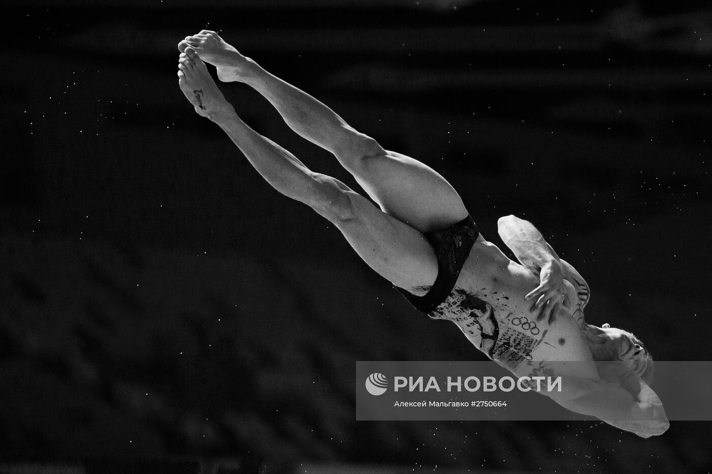 Чемпионат мира FINA 2015. Прыжки в воду. Мужчины. Трамплин 1м. Финал