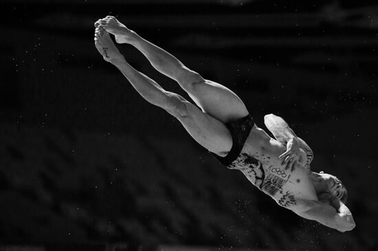 Чемпионат мира FINA 2015. Прыжки в воду. Мужчины. Трамплин 1м. Финал