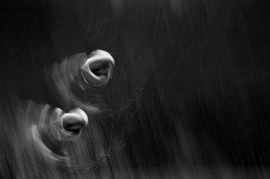 Чемпионат мира FINA 2015. Синхронные прыжки в воду. Женщины. Вышка 10 м. Предварительный раунд