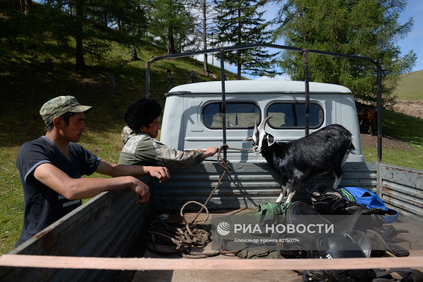 Соревнования по кок бору, в рамках празднования 150-летия единения теленгитов с Россией