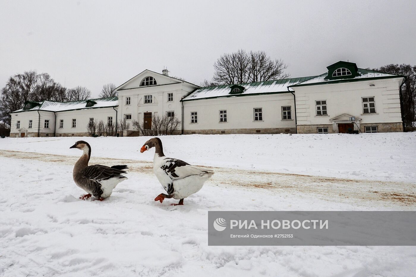 Усадьба Л.Н. Толстого "Ясная Поляна" в Тульской области