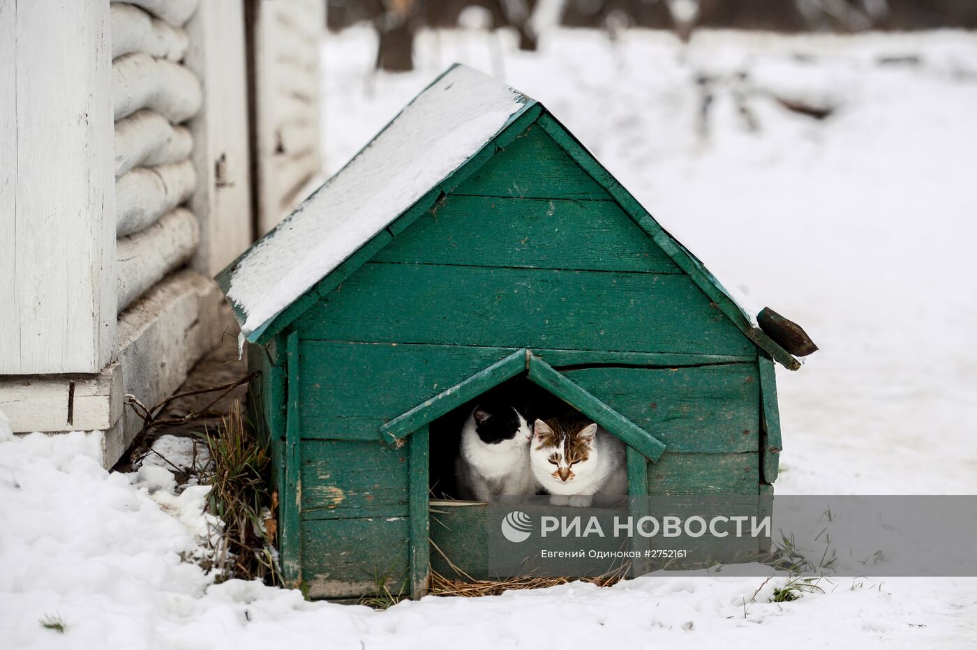 Усадьба Л.Н. Толстого "Ясная Поляна" в Тульской области