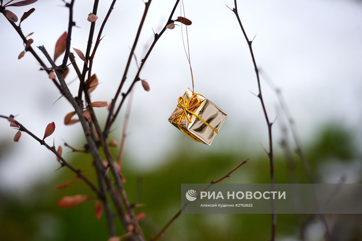 Теплая погода в Москве