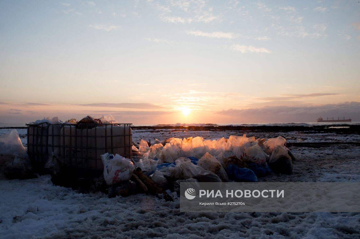 На Сахалине спасают птиц после нефтяного разлива