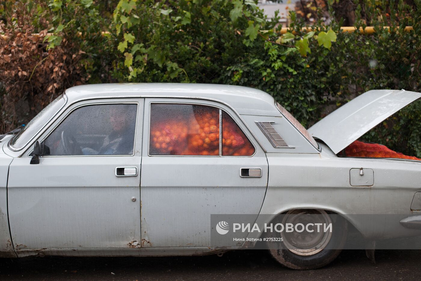 Продажа мандаринов на границе России и Абхазии в Краснодарском крае