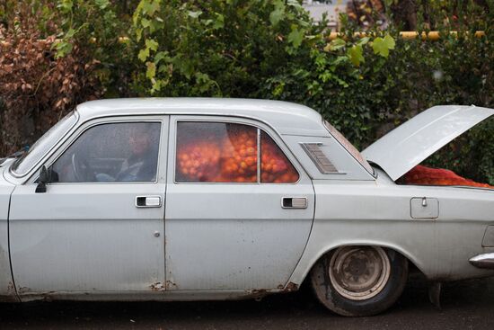 Продажа мандаринов на границе России и Абхазии в Краснодарском крае