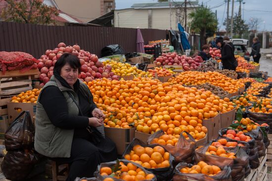 Продажа мандаринов на границе России и Абхазии в Краснодарском крае