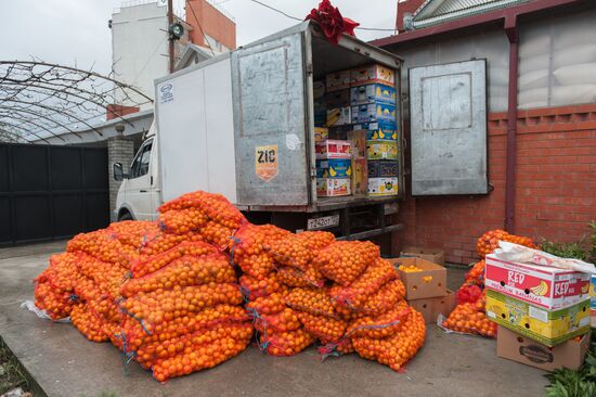 Продажа мандаринов на границе России и Абхазии в Краснодарском крае