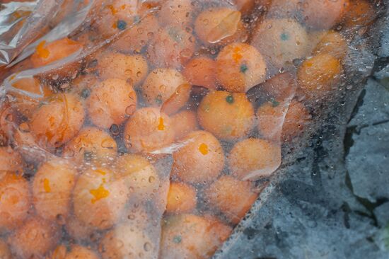 Продажа мандаринов на границе России и Абхазии в Краснодарском крае