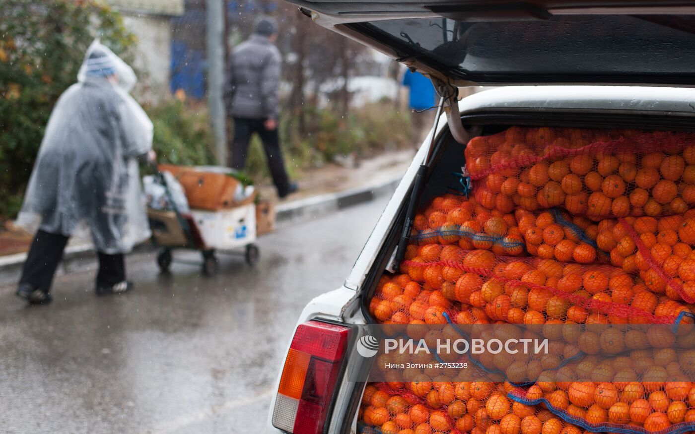 Продажа мандаринов на границе России и Абхазии в Краснодарском крае