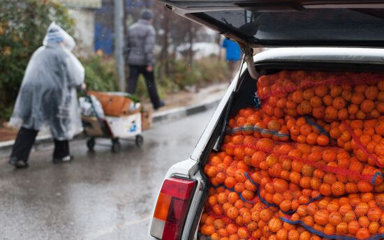 Продажа мандаринов на границе России и Абхазии в Краснодарском крае
