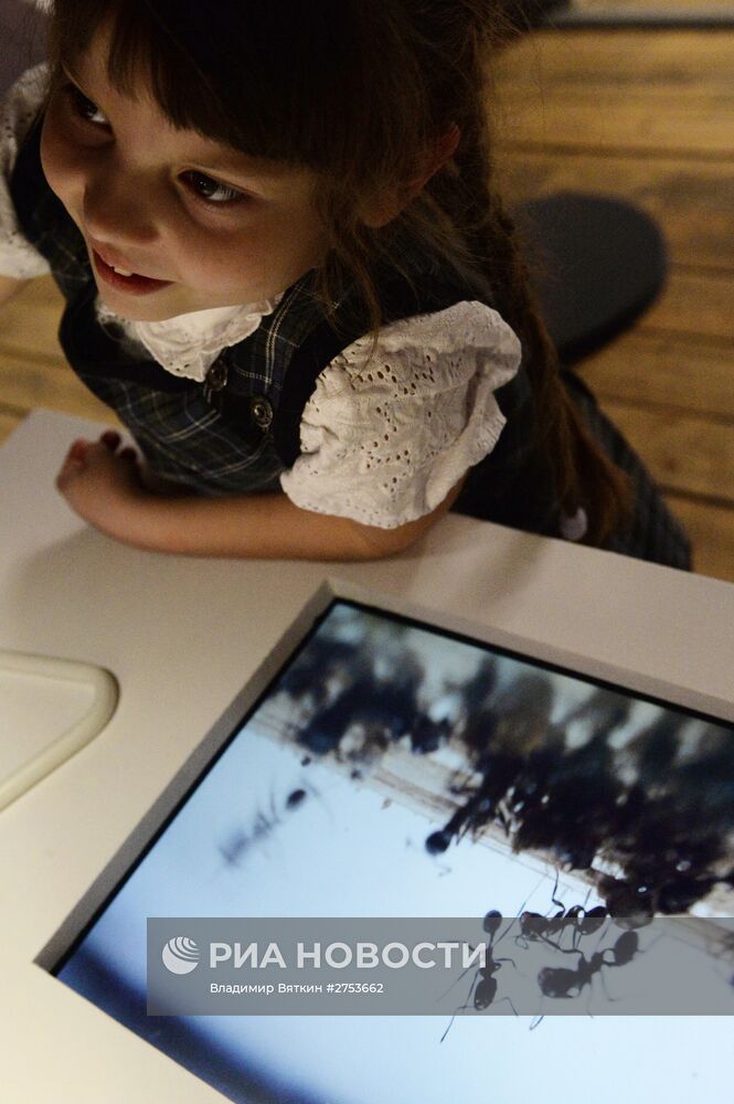 Открытие выставки "Polytech.Science.Art: Наука.Искусство.Технологии"