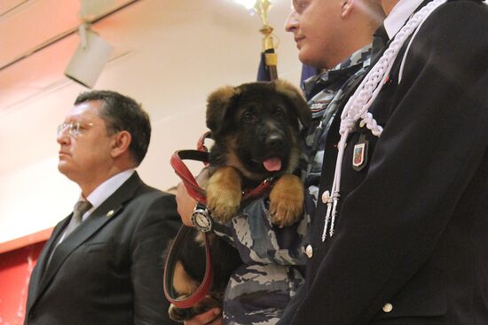 Торжественная передача в дар французской полиции щенка Добрыни