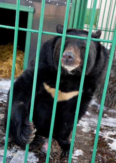 Открытие нового зоопарка в Уссурийске
