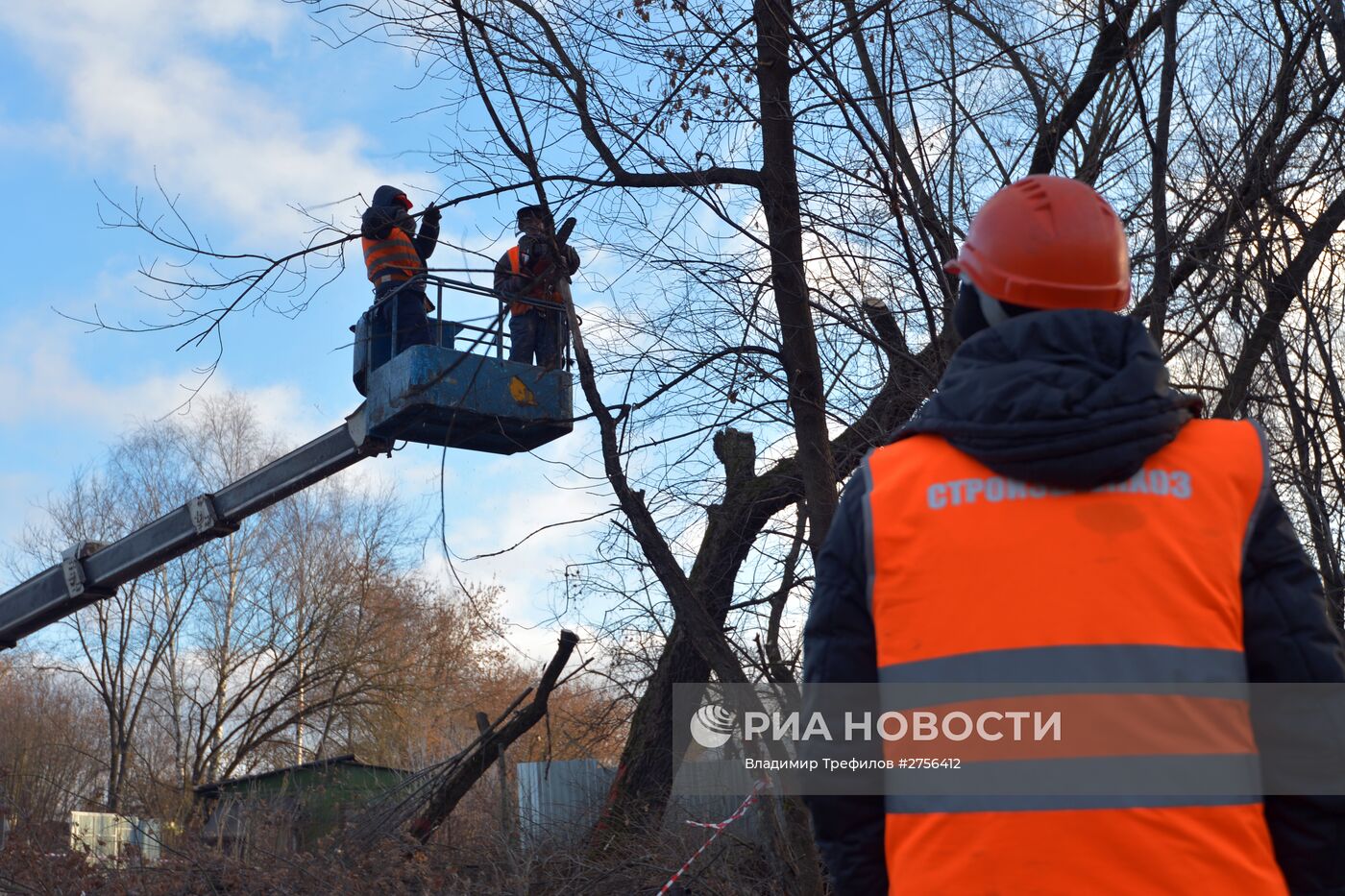 Сотрудники коммунальных служб обрезают деревья