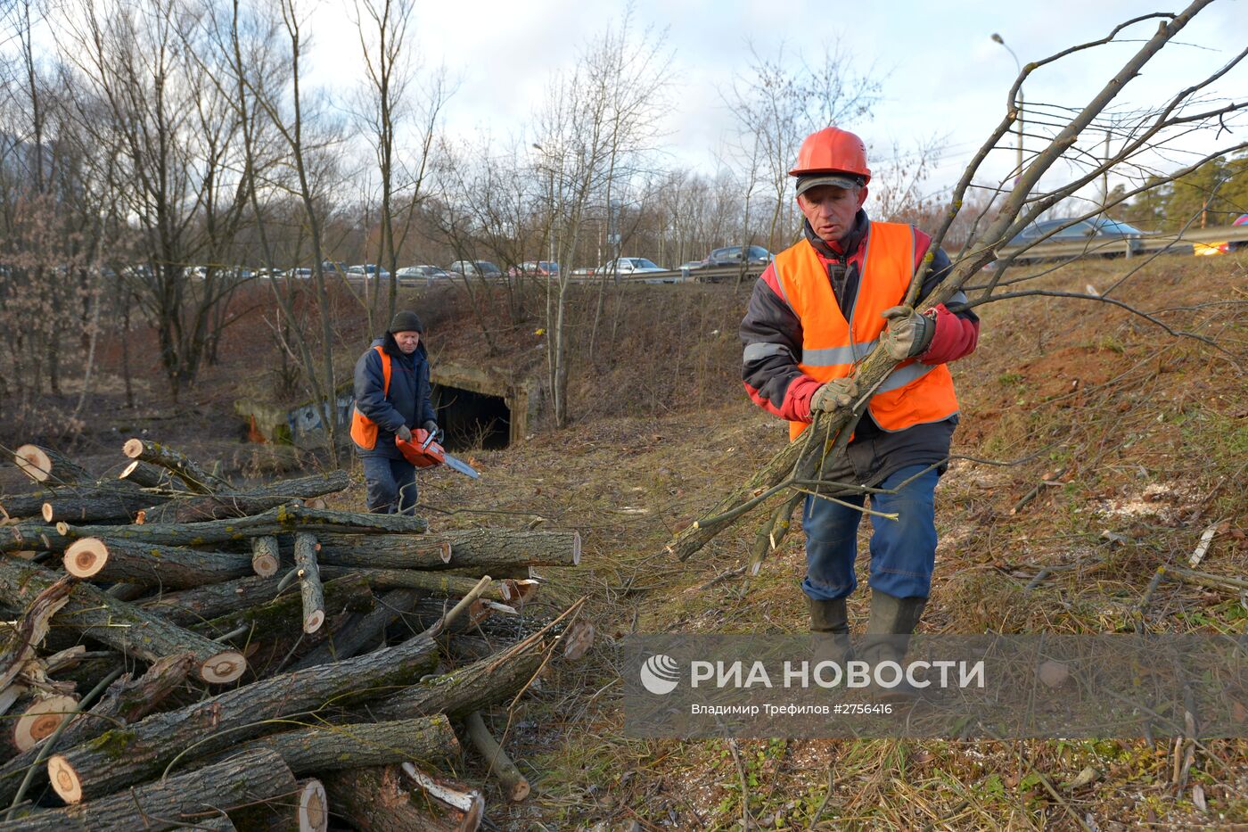 Сотрудники коммунальных служб обрезают деревья