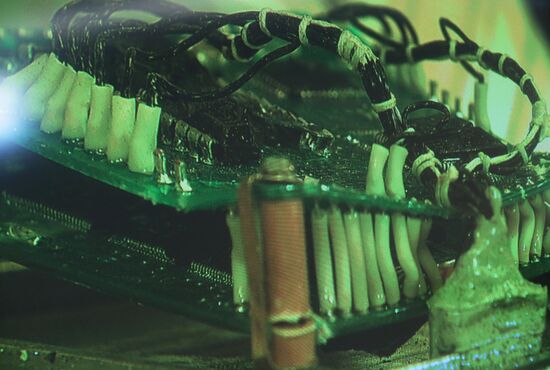 Началась расшифровка "черных ящиков" СУ-24М, сбитого 24 ноября 2015 года над Сирией