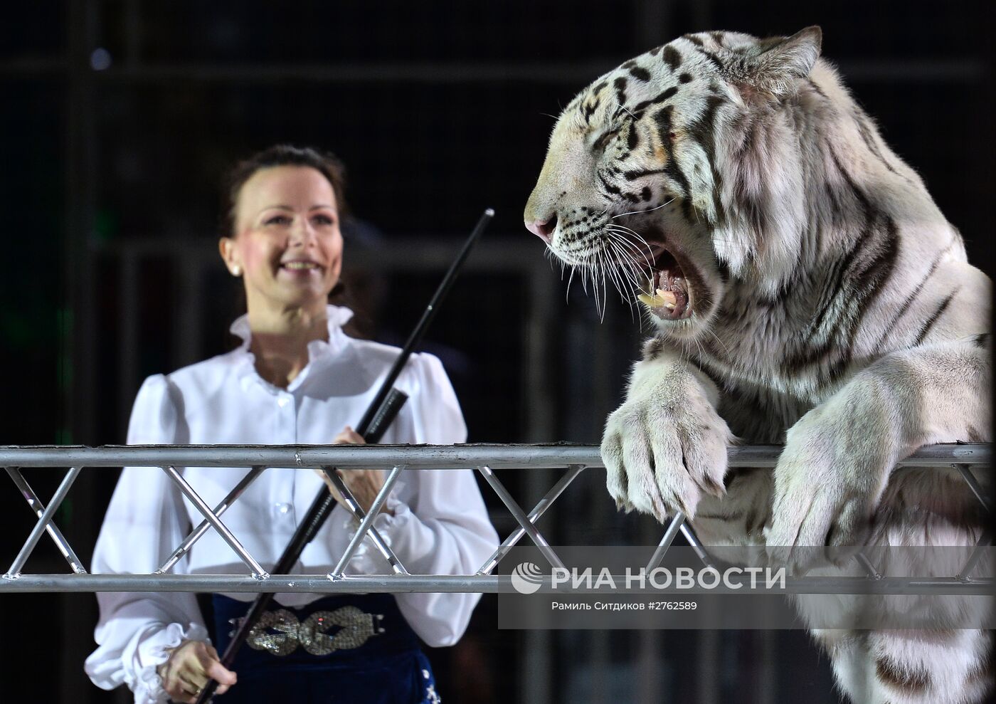 Премьера Новогодней программы Цирка больших зверей
