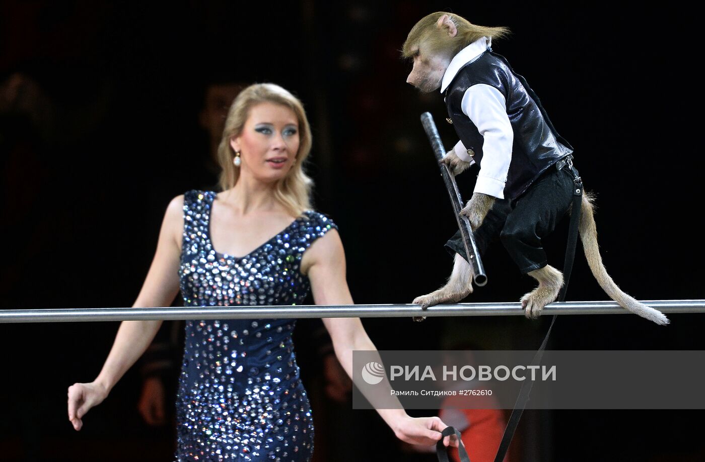 Премьера Новогодней программы Цирка больших зверей