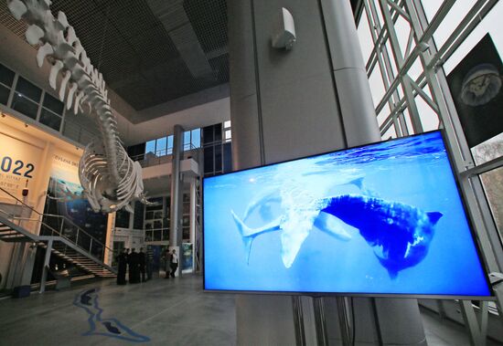 В Калининграде открылся новый корпус Музея Мирового океана
