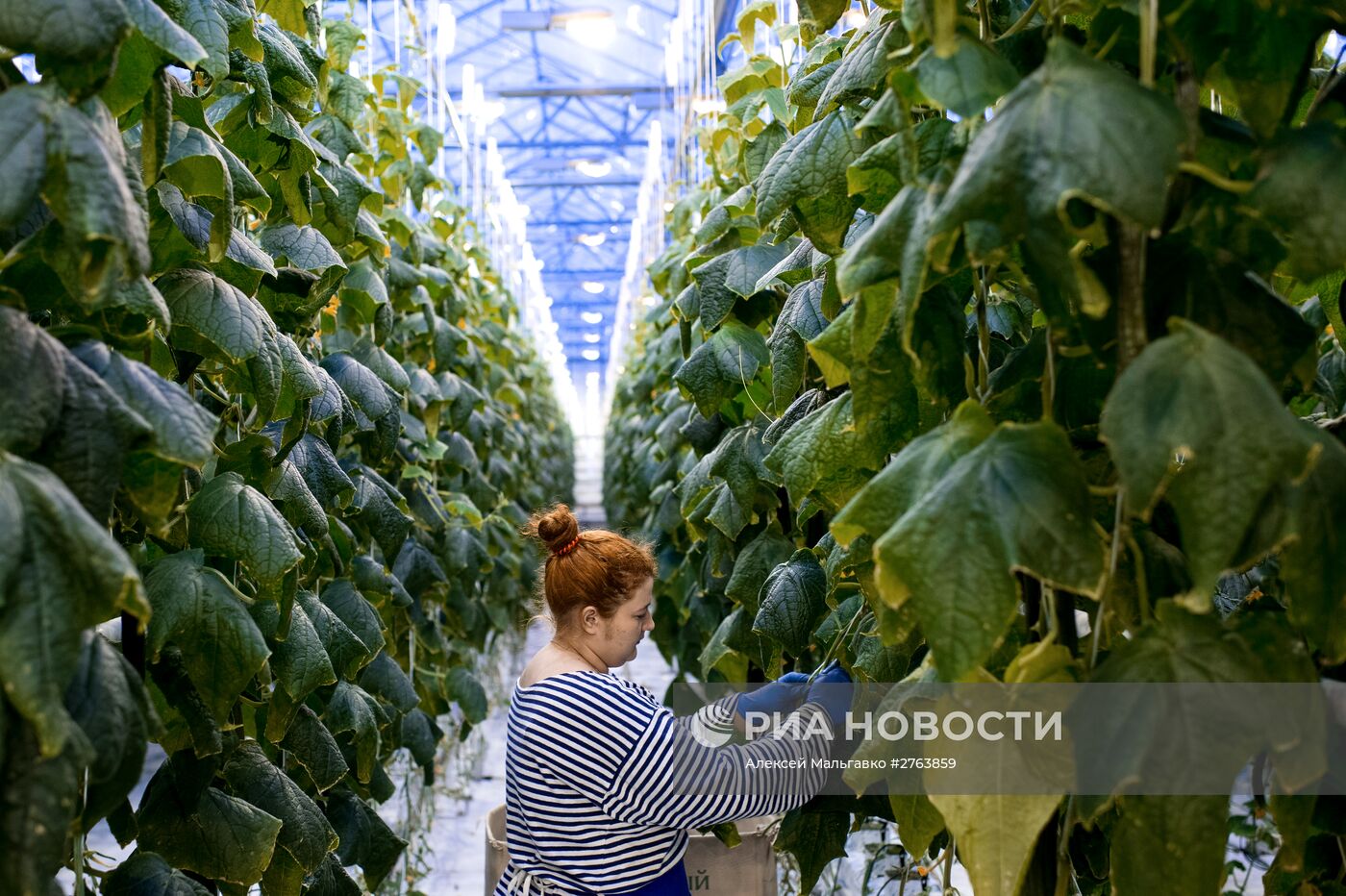 Агроцентр "Дружино" в Омской области