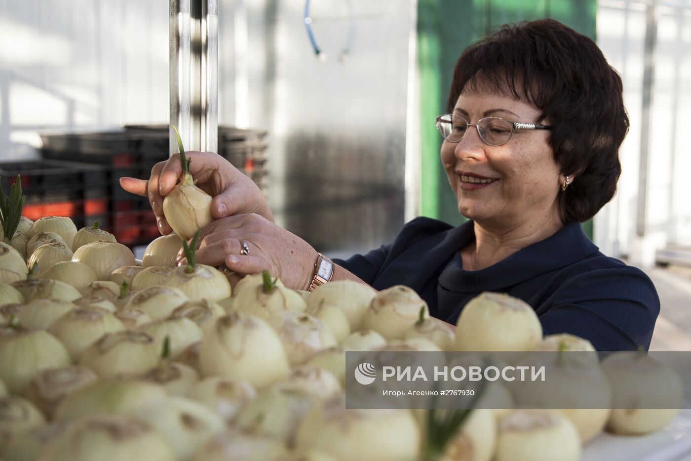 Тепличный комбинат в Благовещенске