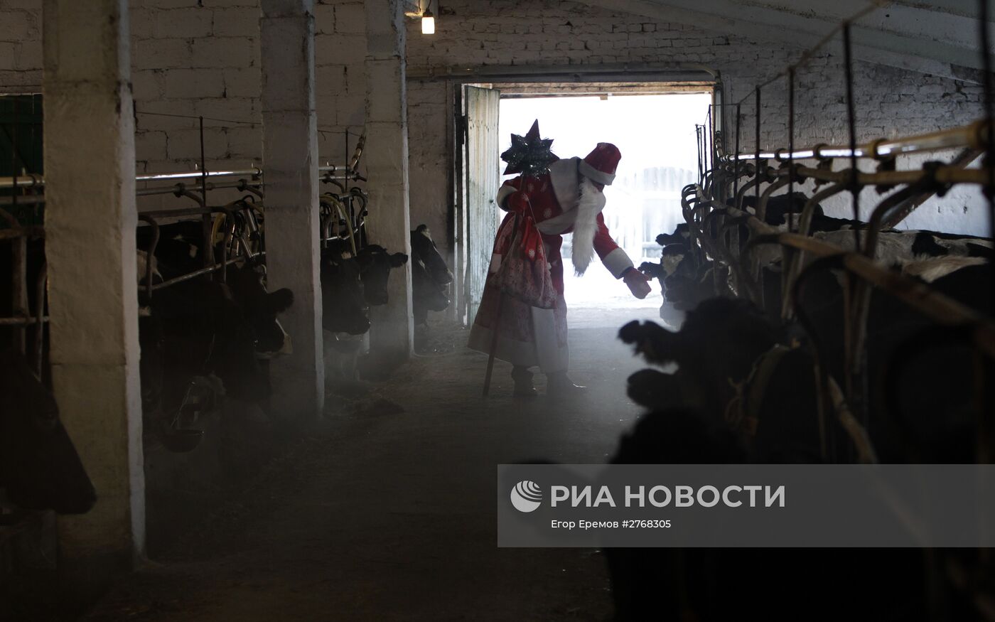 Поздравление работников молочных ферм Гродненской области с Новым Годом