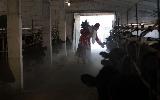 Поздравление работников молочных ферм Гродненской области с Новым Годом