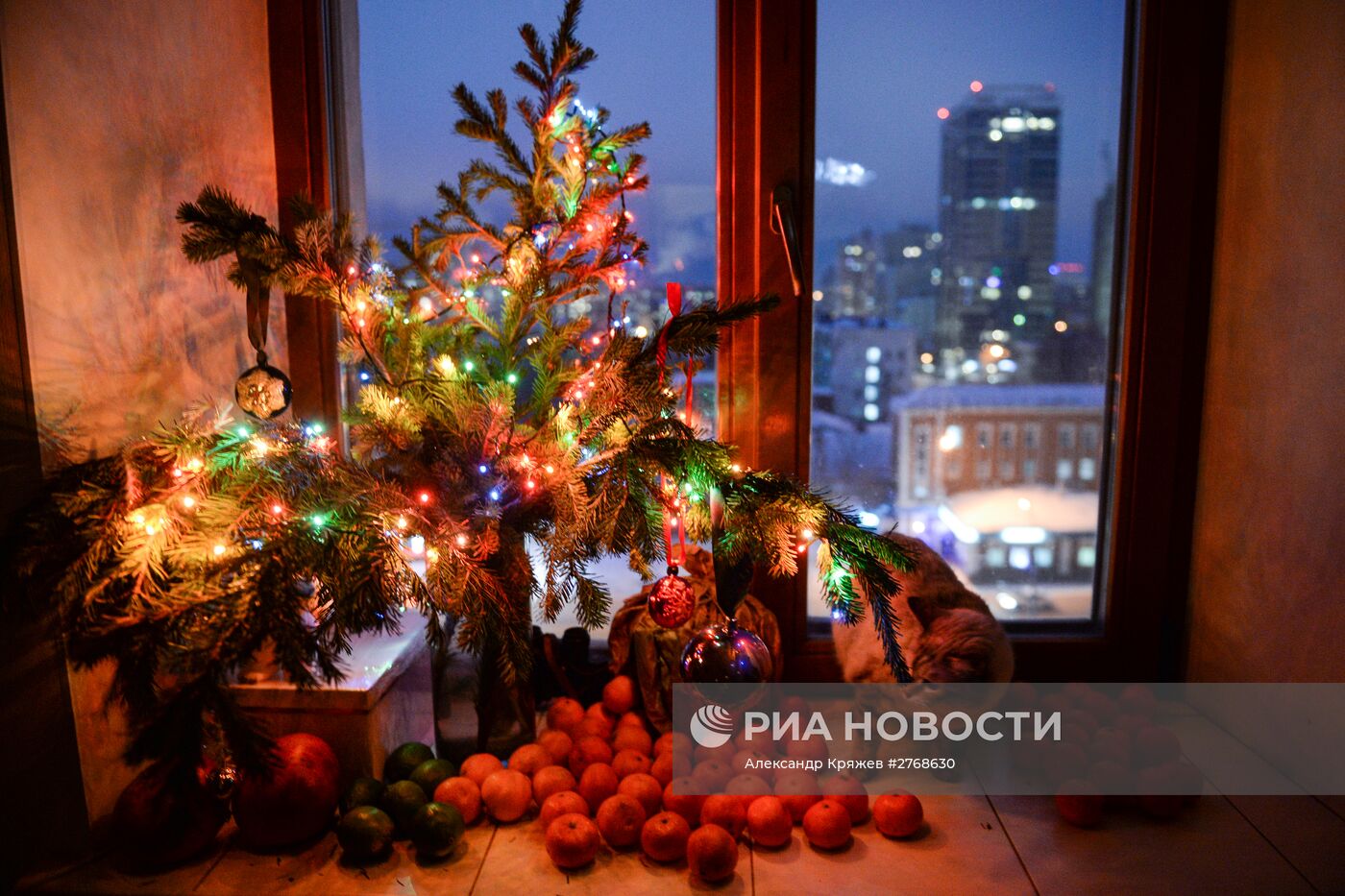 Празднование Нового года в городах России