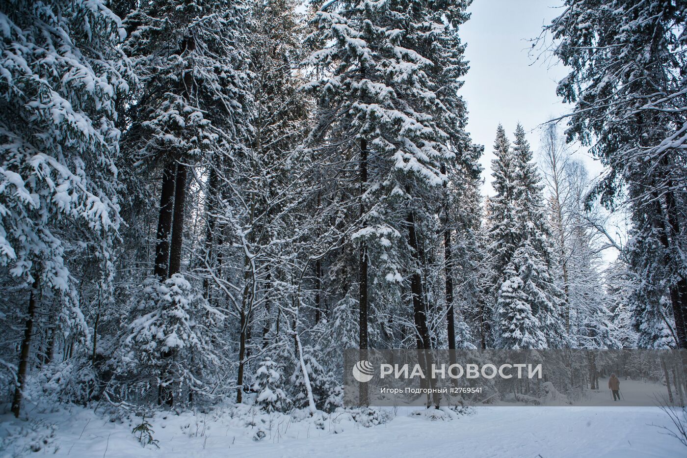 Зимний отдых в Петрозаводске