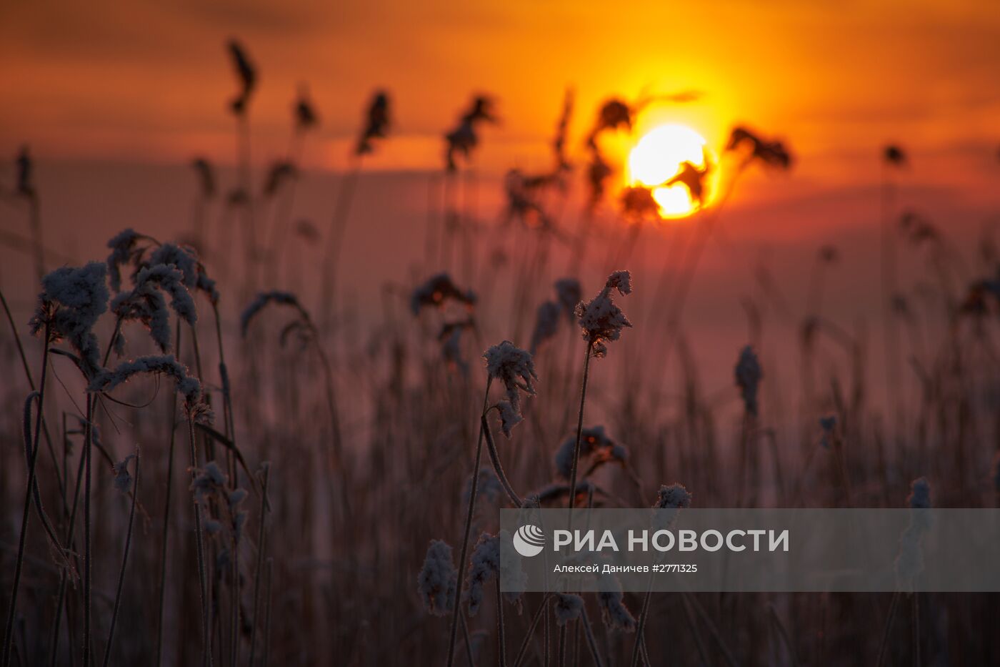 Зимний закат на берегу Финского залива