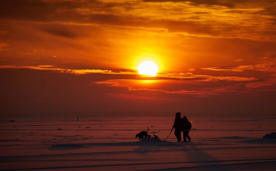 Зимний закат на берегу Финского залива
