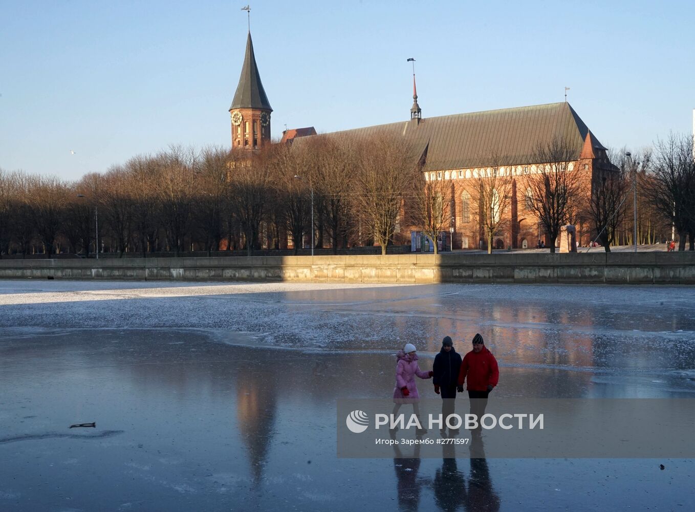 Зимние виды Калининграда