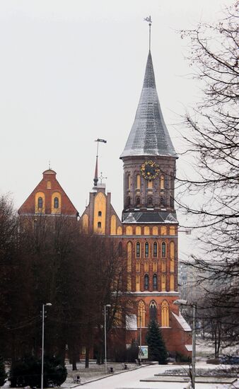 Зимние виды Калининграда