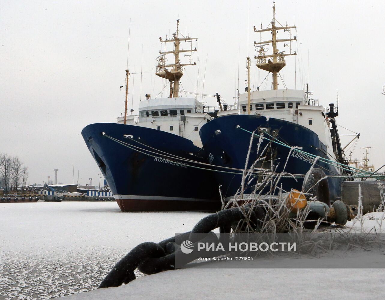 Зимние виды Калининграда