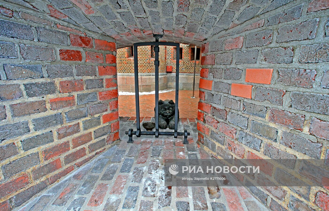 Зимние виды Калининграда