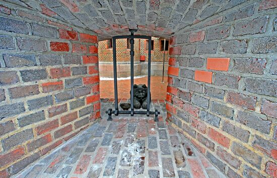 Зимние виды Калининграда