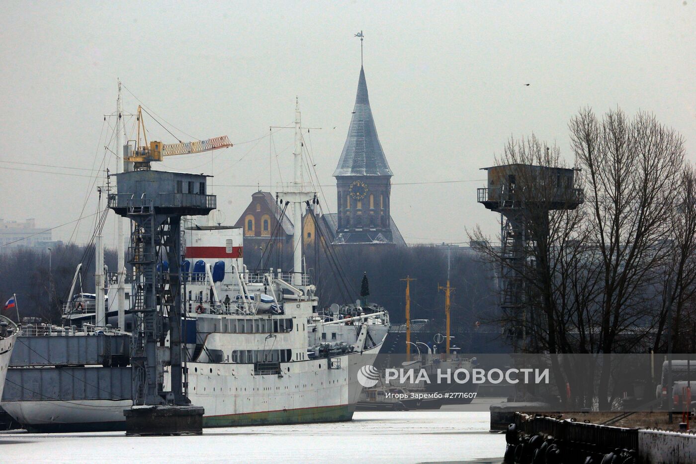 Зимние виды Калининграда