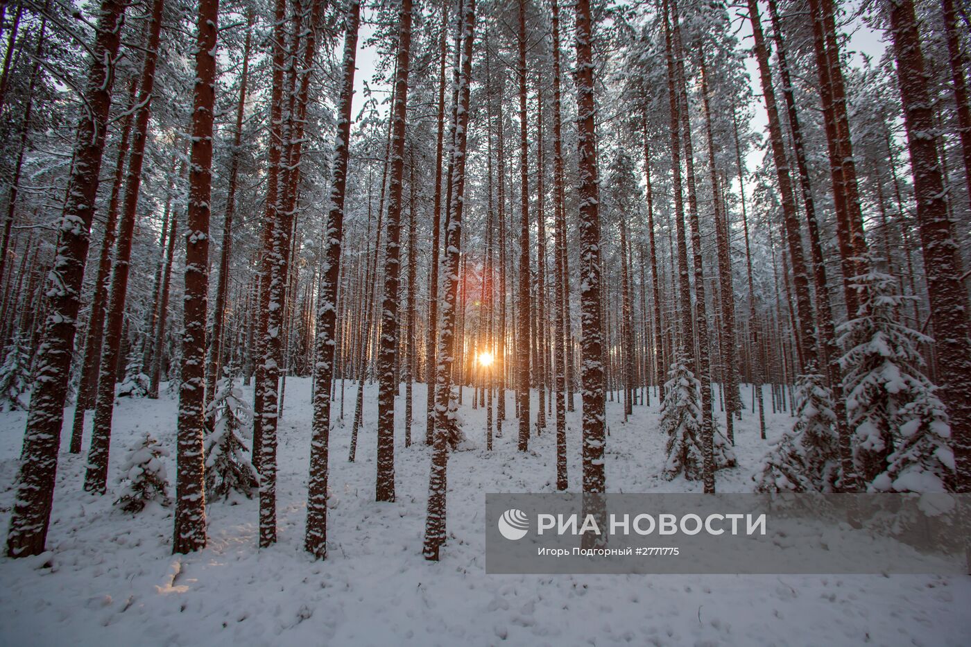 Зимний отдых на реке Шуя в Карелии