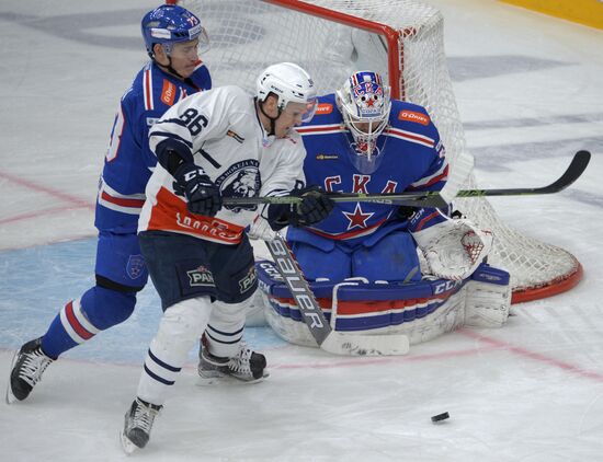 Хоккей. КХЛ. Матч СКА - "Медвешчак"
