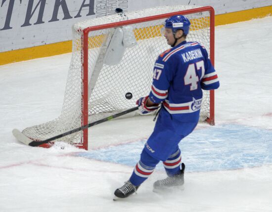 Хоккей. КХЛ. Матч СКА - "Медвешчак"