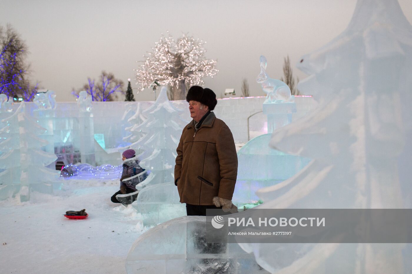 Ледовый городок "Беловодье" в Омске