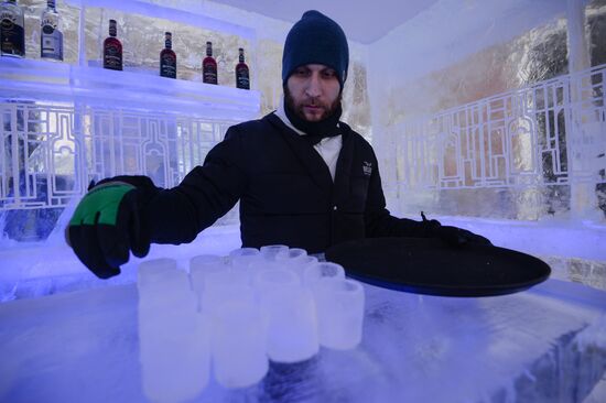 Ледяной бар Twiggy в Новосибирске