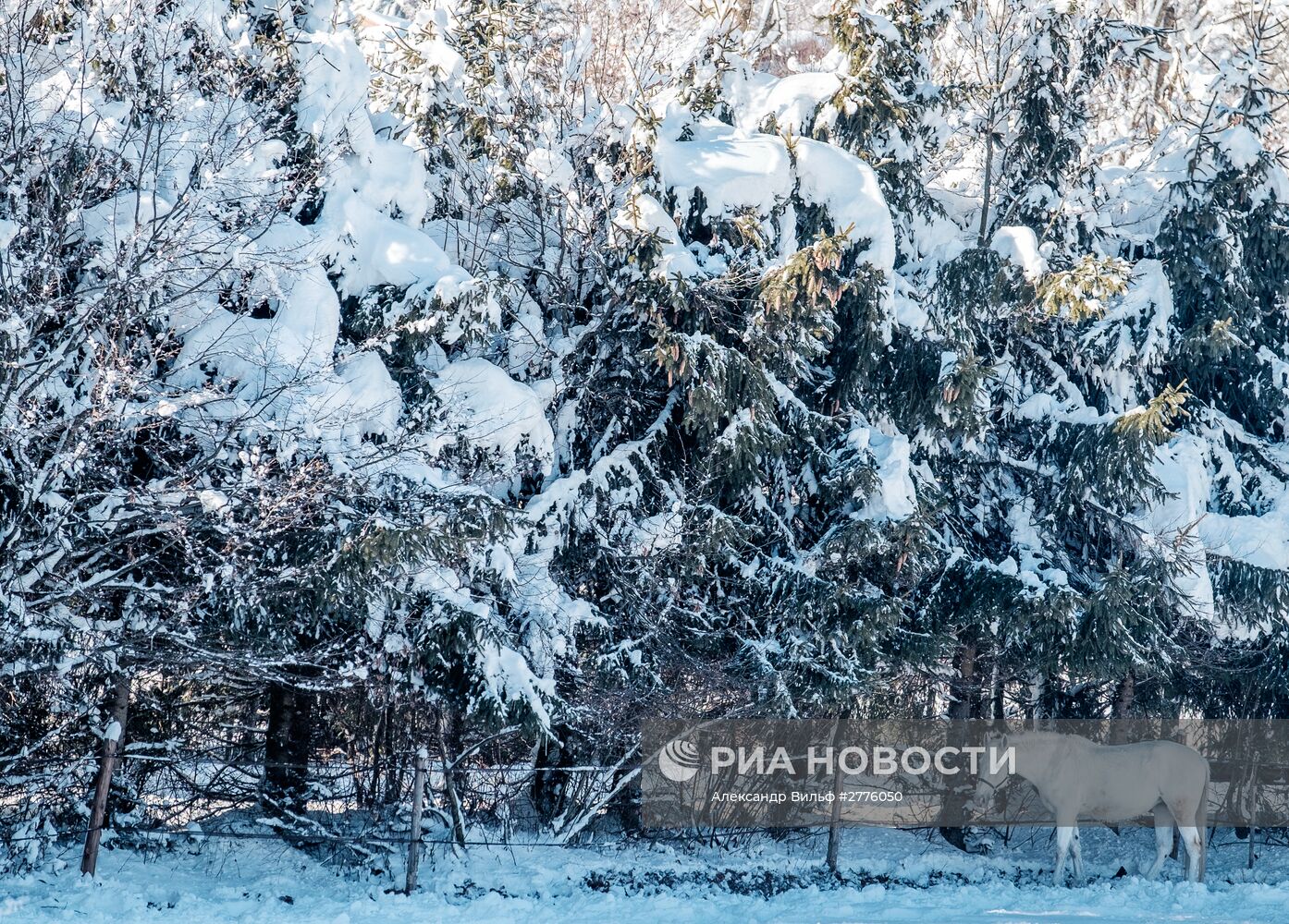 Страны мира. Австрия