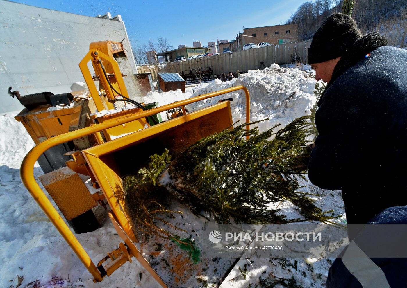 Утилизация новогодних елок во Владивостоке